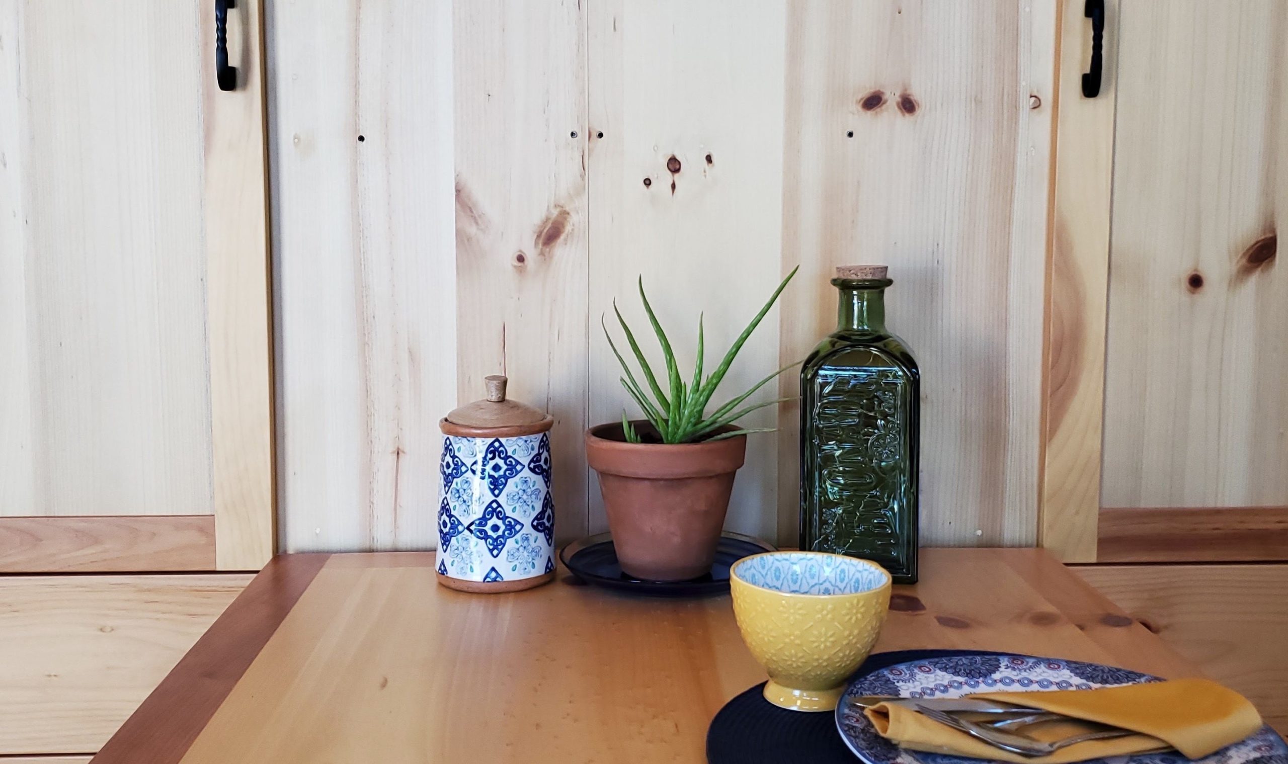 lelands cabins indoor plants 17 scaled - Best Indoor Plants To Decorate Your Cabin