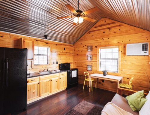 Unlikely Benefits of Owning a Small-Size Cabin